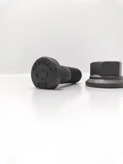 Bijon MAN TGA